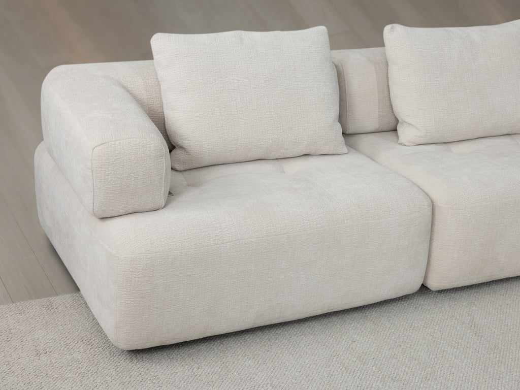 Cor Sectional