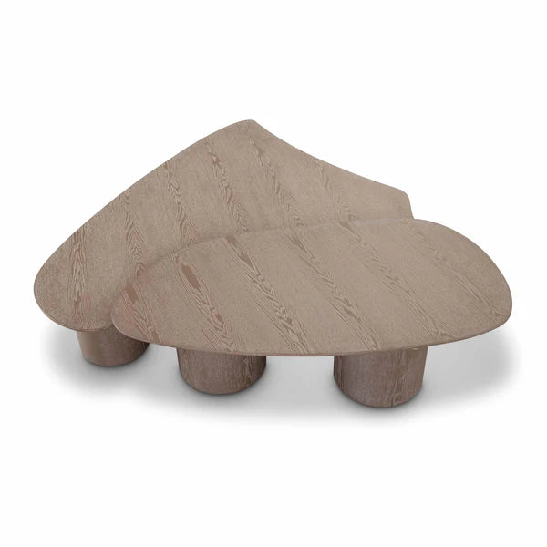 Rhema 2-Piece Washed Ash Nesting Coffee Table Set